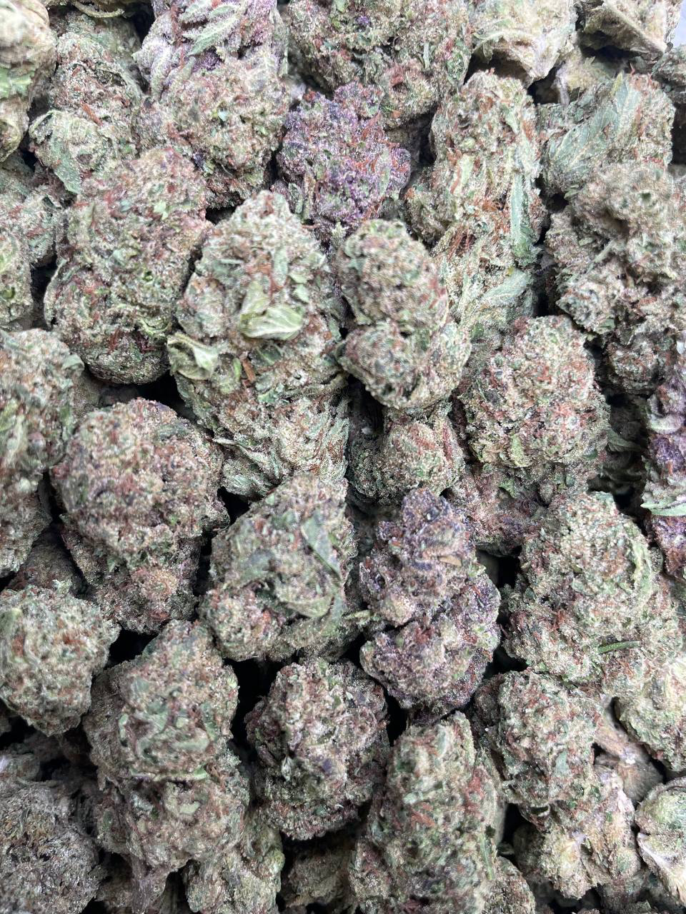 Blue Nerdz strain